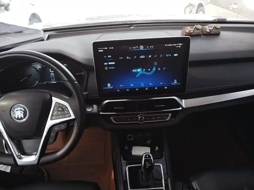 BYD Song New Energy 2019 — фото 10