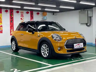 MINI MINI 2015