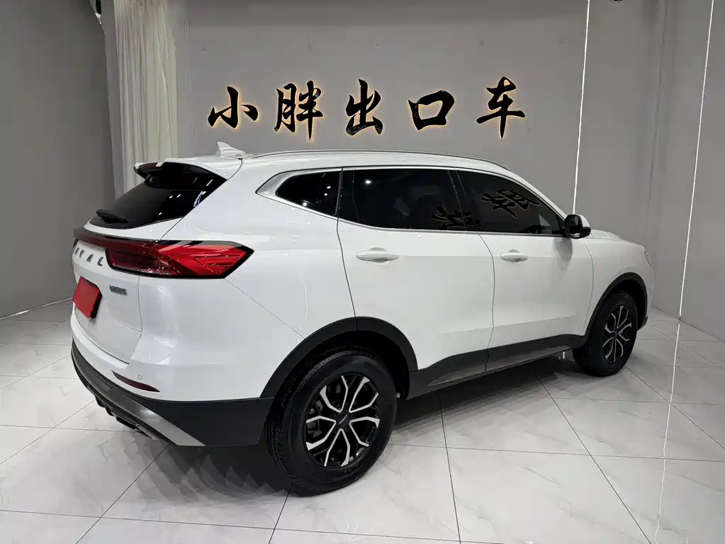 Haval H6 2022 — фото 5