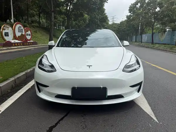 Tesla Model 3 2020