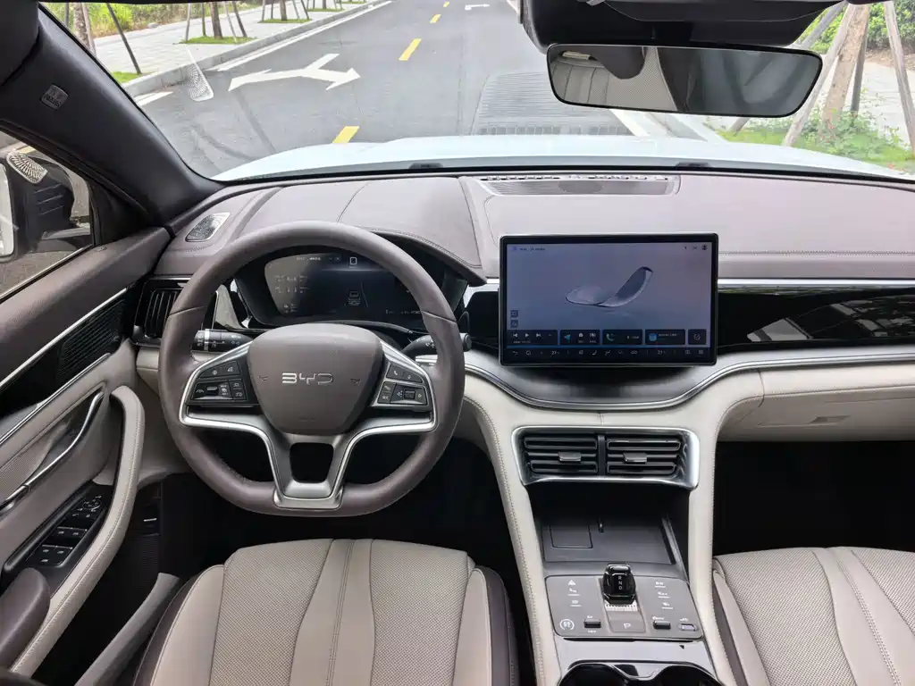 BYD Song PLUS New Energy 2024 — фото 17