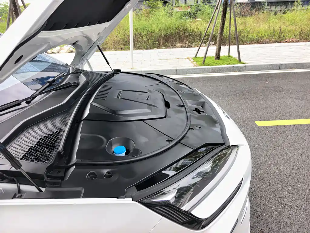 BYD Song PLUS New Energy 2024 — фото 24