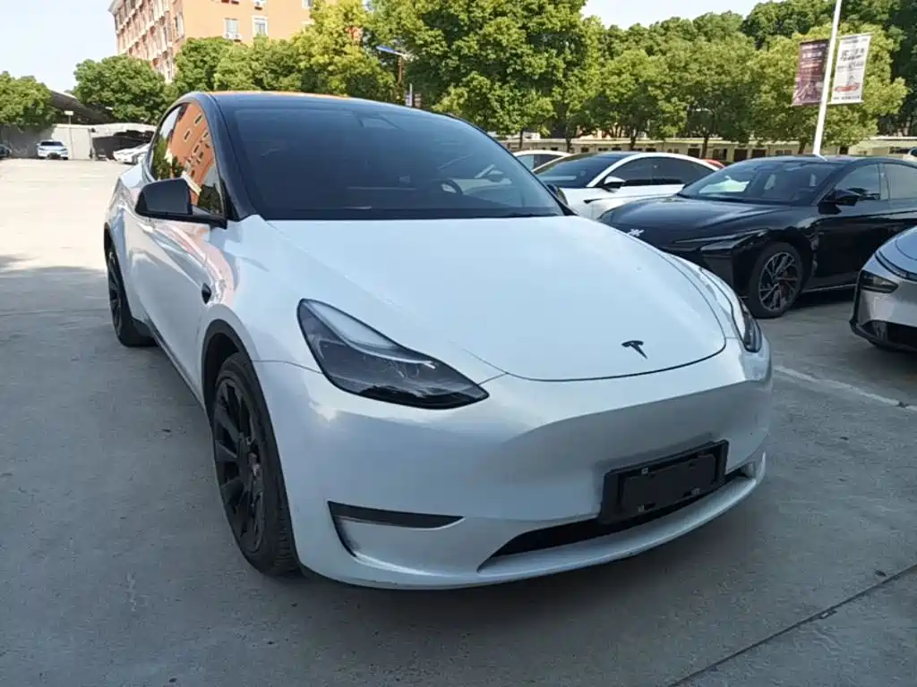 Tesla Model Y 2021 — фото 4