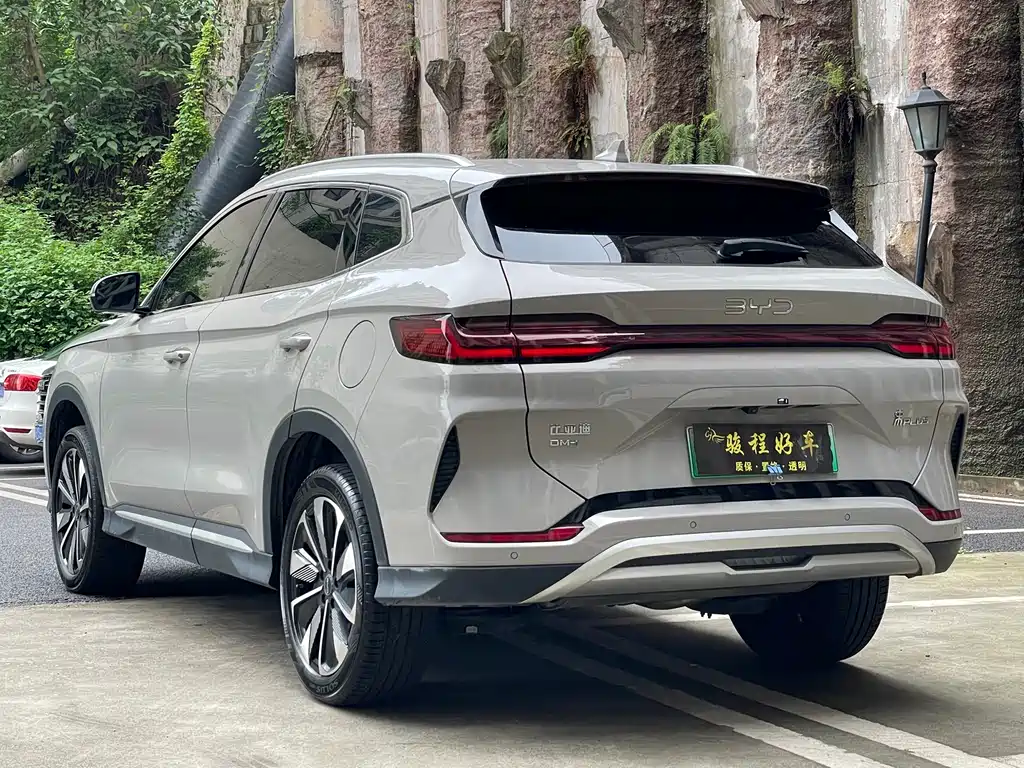 BYD PLUS New Energy 2025 — фото 5