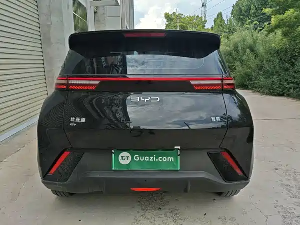 BYD Seagull 2024