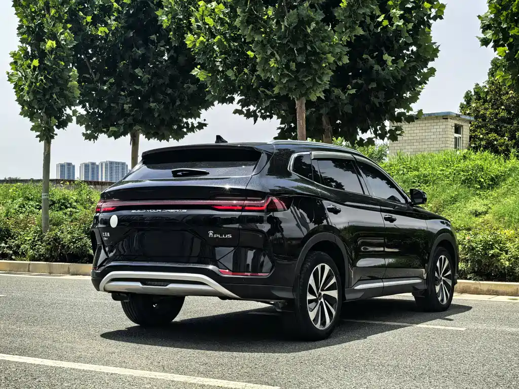 BYD PLUS New Energy 2024 — фото 4