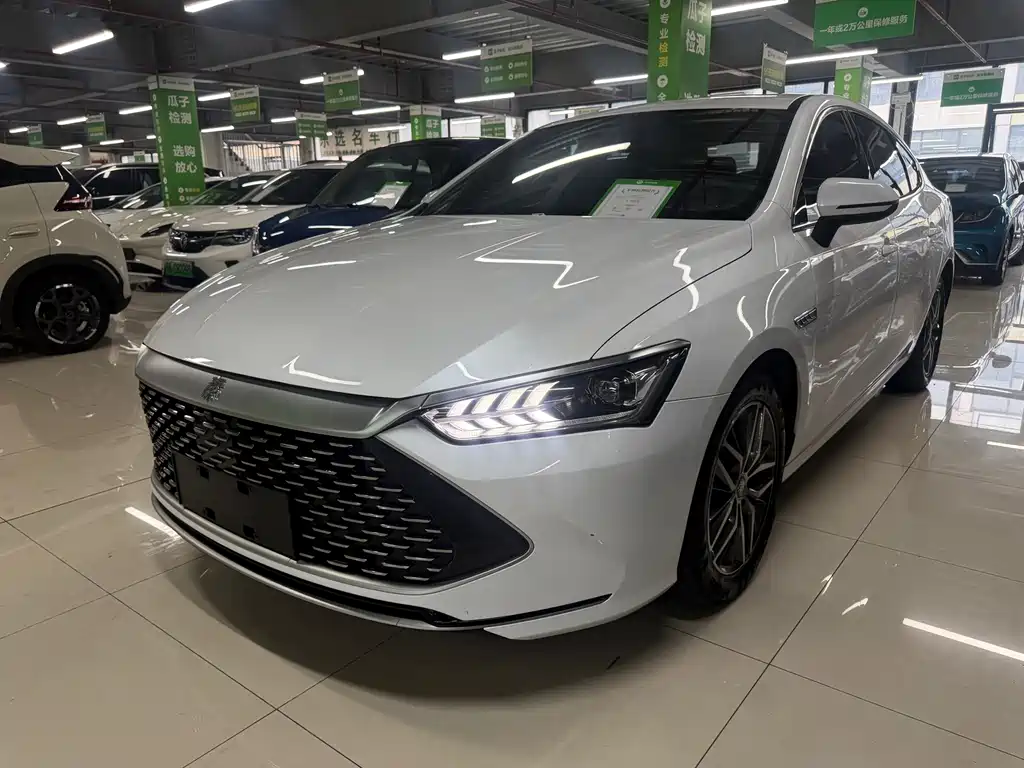 BYD Qin PLUS 2021 — фото 1