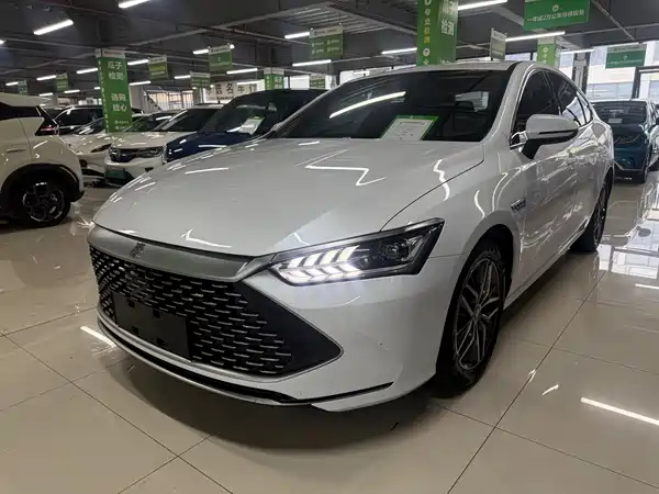 BYD Qin PLUS 2021