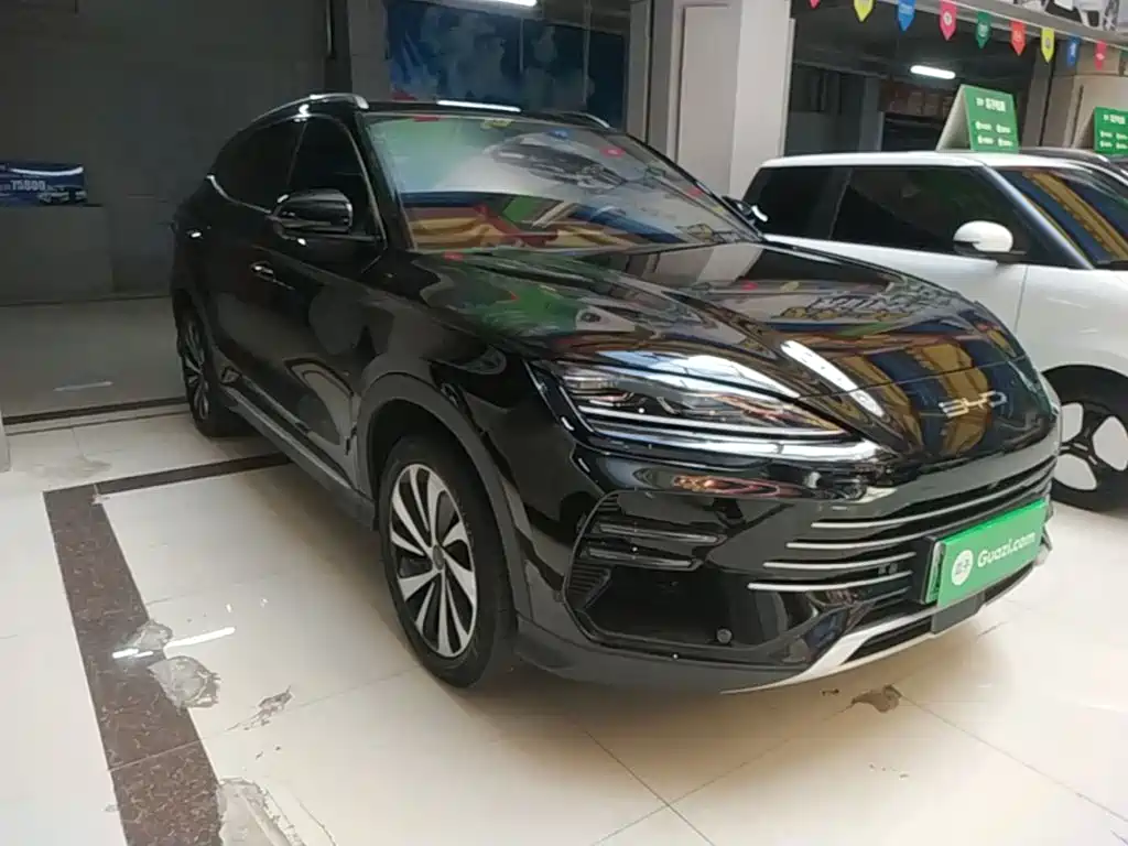 BYD PLUS New Energy 2023 — фото 4