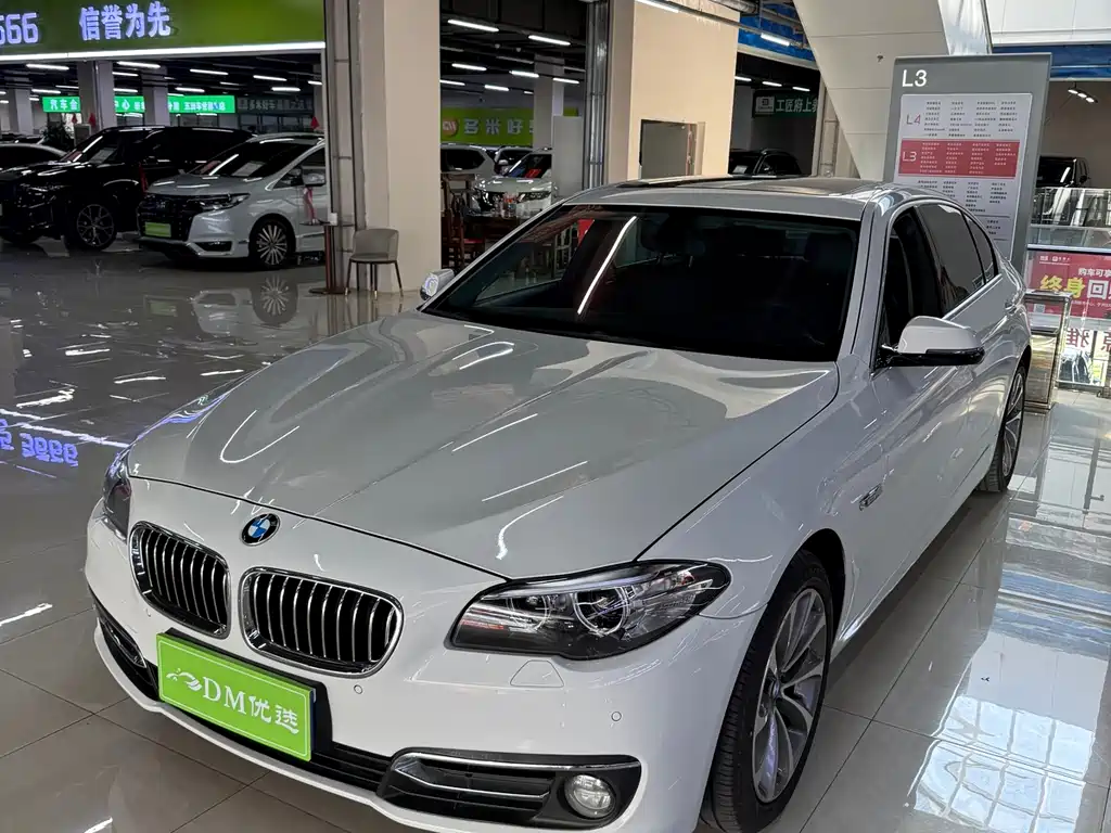 BMW 5 Series 2014 — фото 3