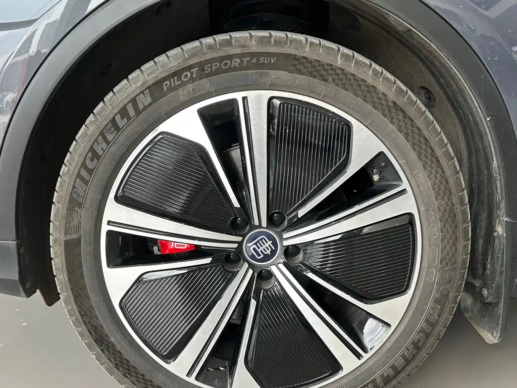 BYD Tang New Energy 2022 — фото 14