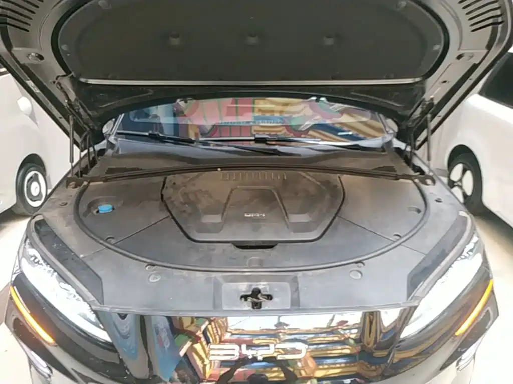 BYD PLUS New Energy 2023 — фото 20