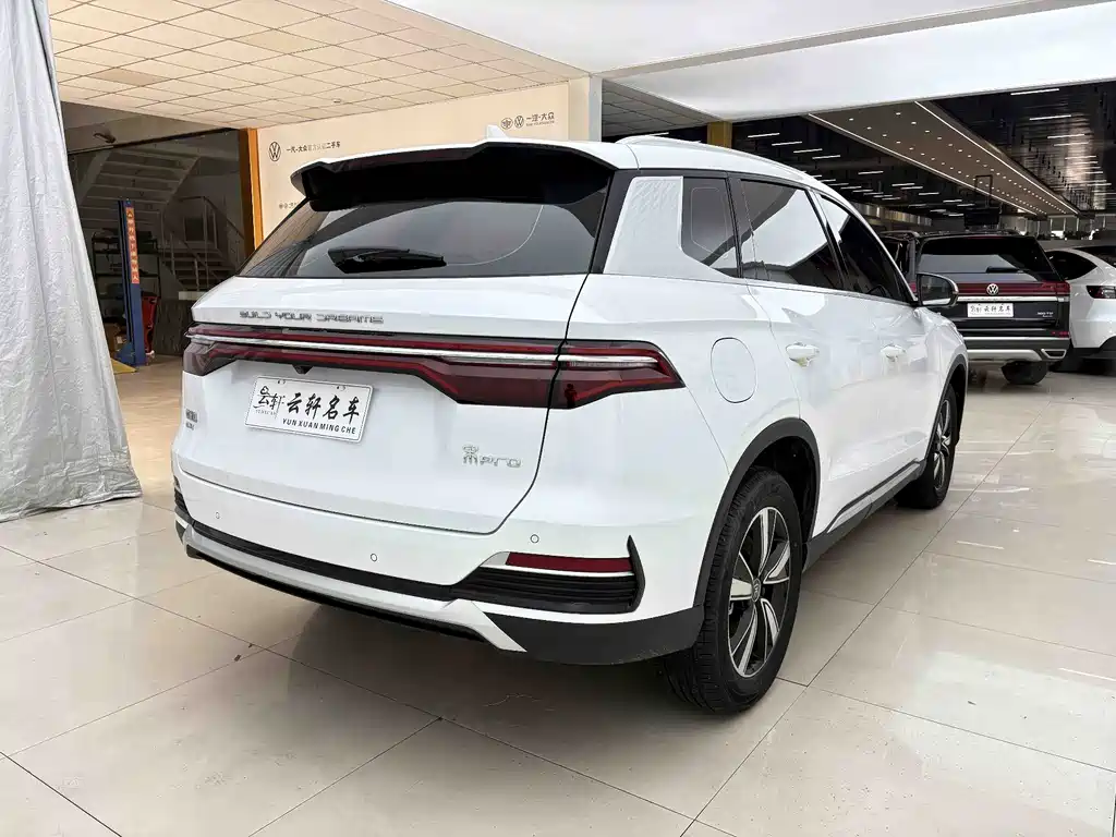 BYD Pro New Energy 2023 — фото 12