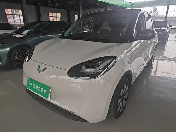Wuling Bingo 2024