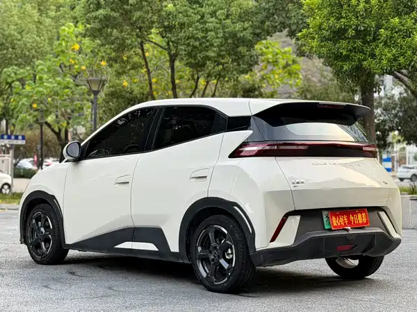 BYD Seagull 2024