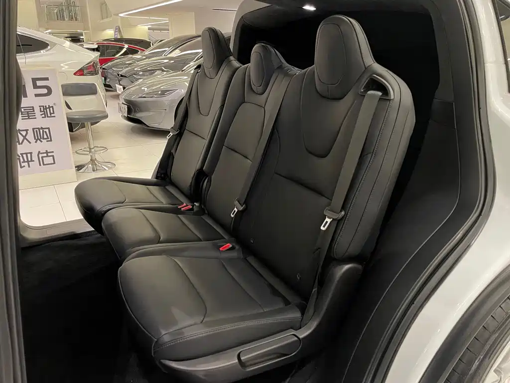 Tesla Model X 2020 — фото 10