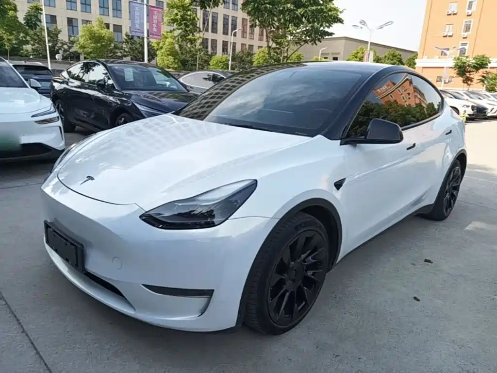 Tesla Model Y 2021 — фото 1