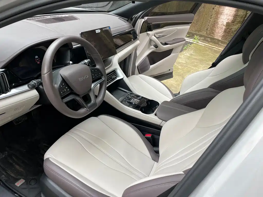 BYD PLUS New Energy 2025 — фото 10