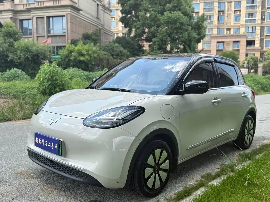 Wuling Bingo 2024