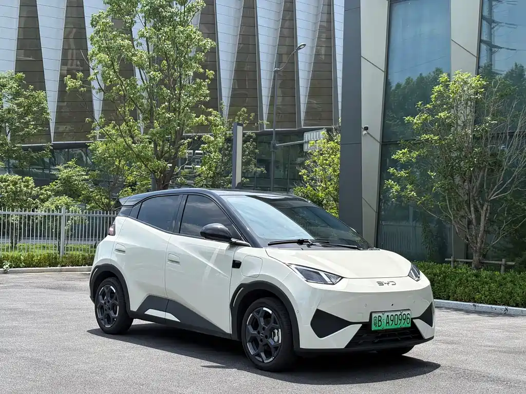 BYD Seagull 2025