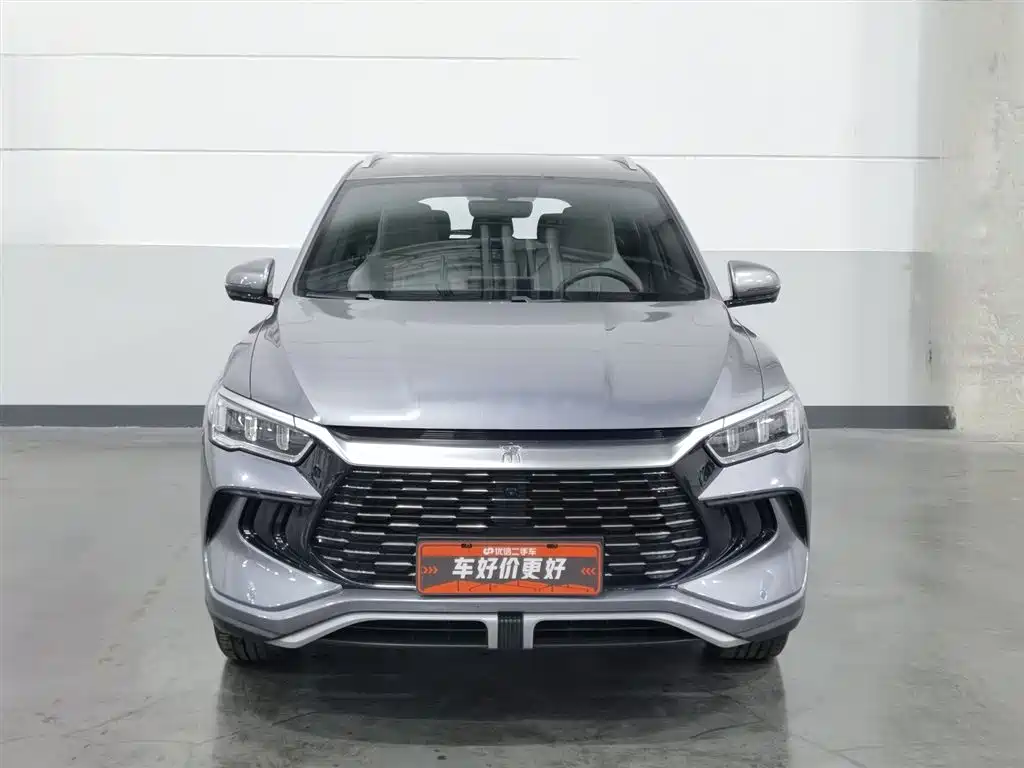 BYD Pro New Energy 2024 — фото 3
