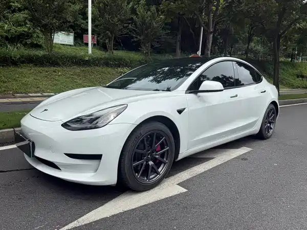 Tesla Model 3 2020