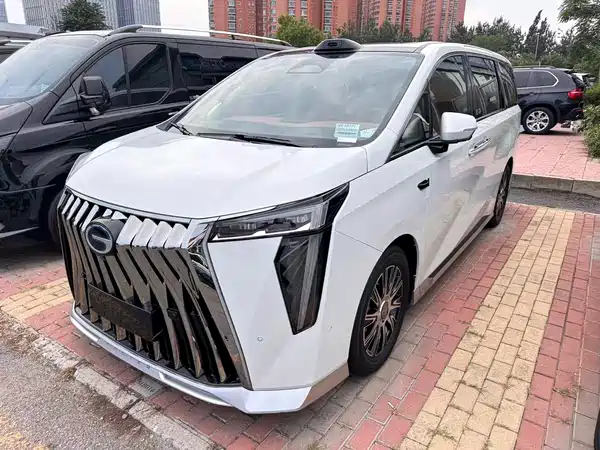 GAC Trumpchi Xiangwang M8 2025