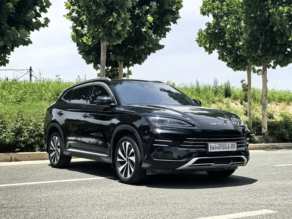 BYD PLUS New Energy 2024 — фото 2