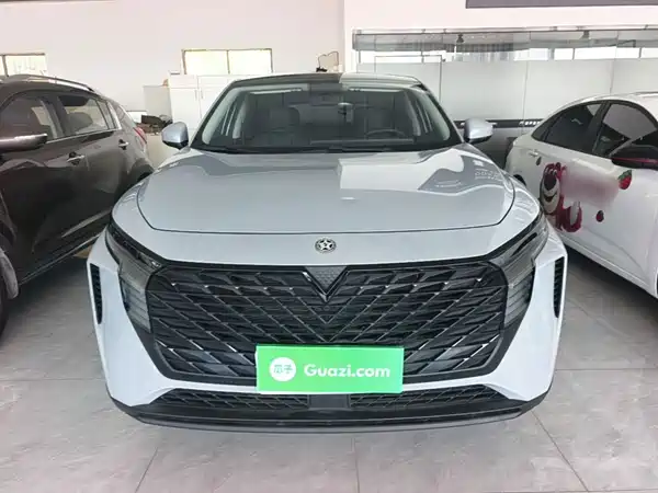 Venucia Big V 2022