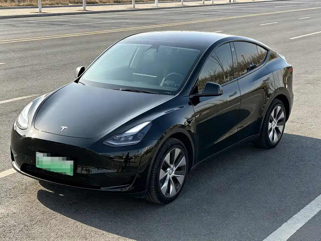 Tesla Model Y 2021 — фото 1