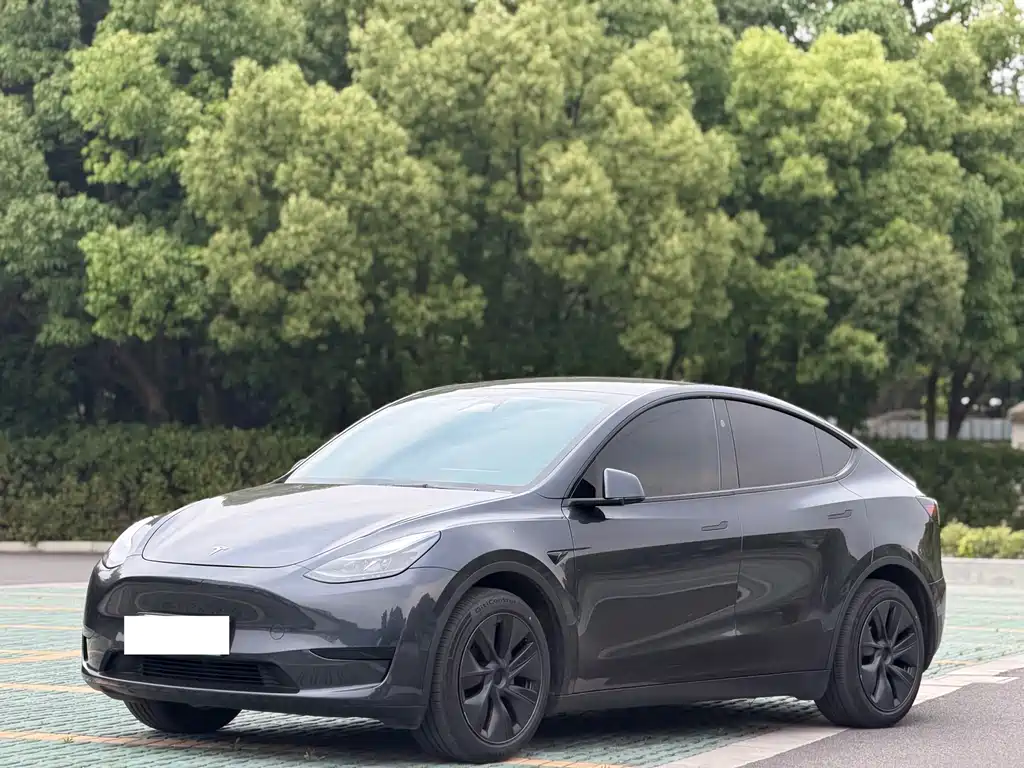 Tesla Model Y 2024 — фото 1