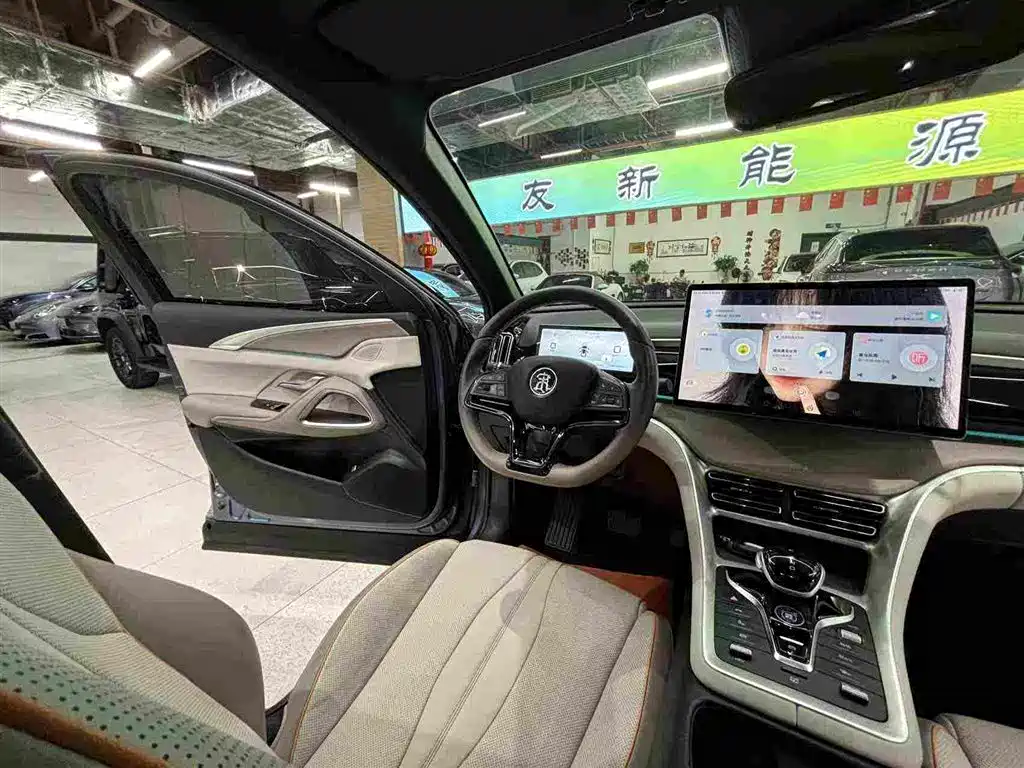 BYD Pro New Energy 2023 — фото 28