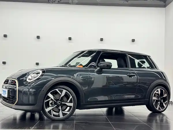 MINI MINI 2025