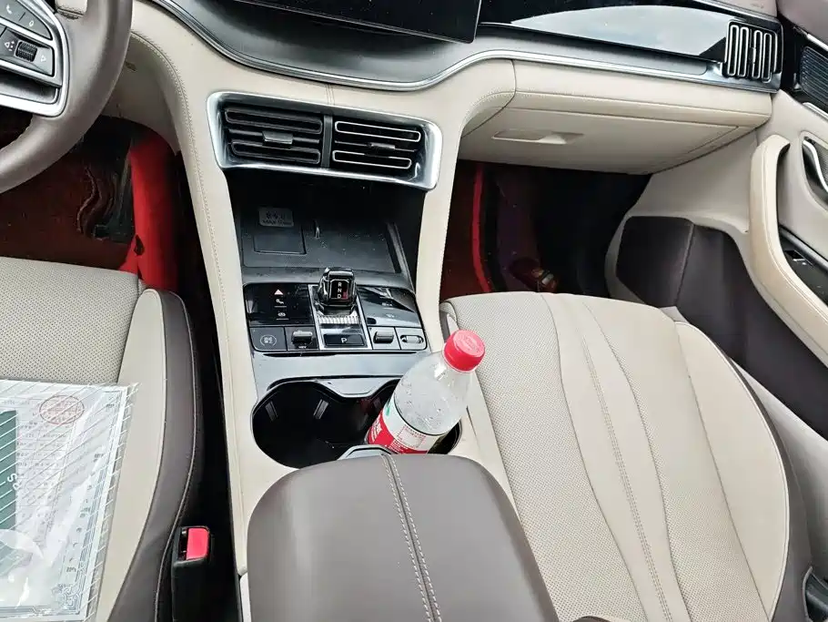 BYD Song PLUS New Energy 2025 — фото 16