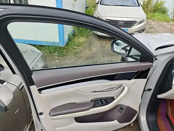 BYD Song PLUS New Energy 2025