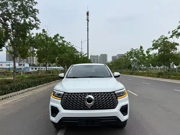 Great Wall Poer 2023