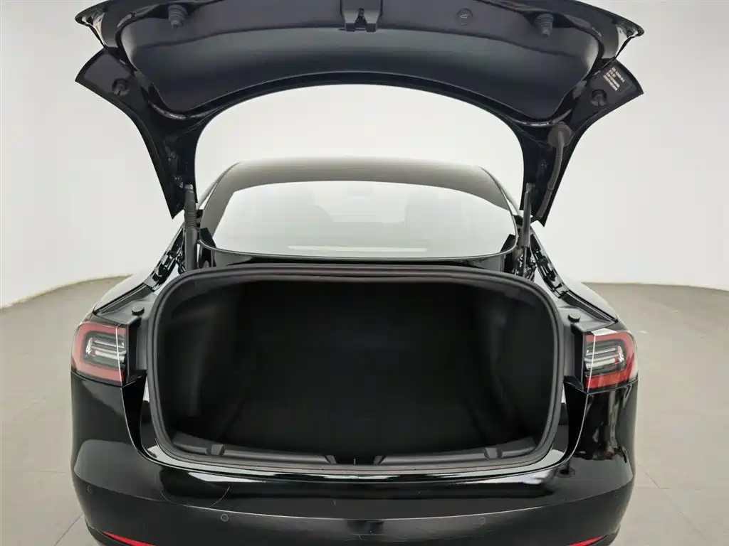 Tesla Model 3 2021 — фото 16