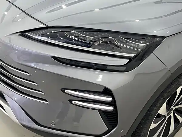 BYD Song PLUS New Energy 2024