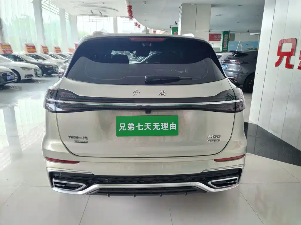 Hongqi HS5 2023 — фото 16