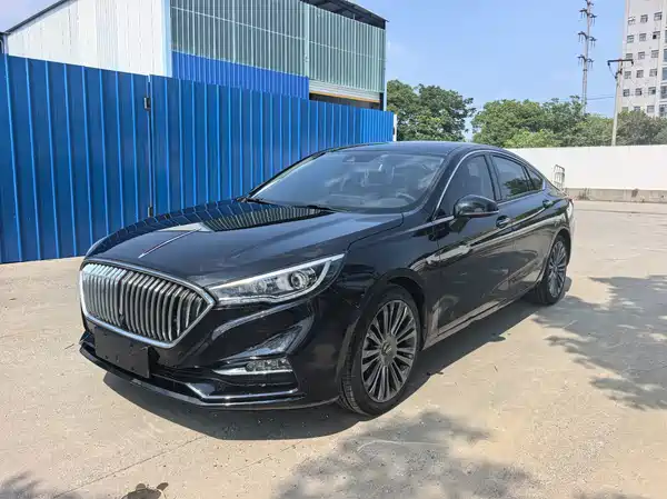Hongqi H5 2020