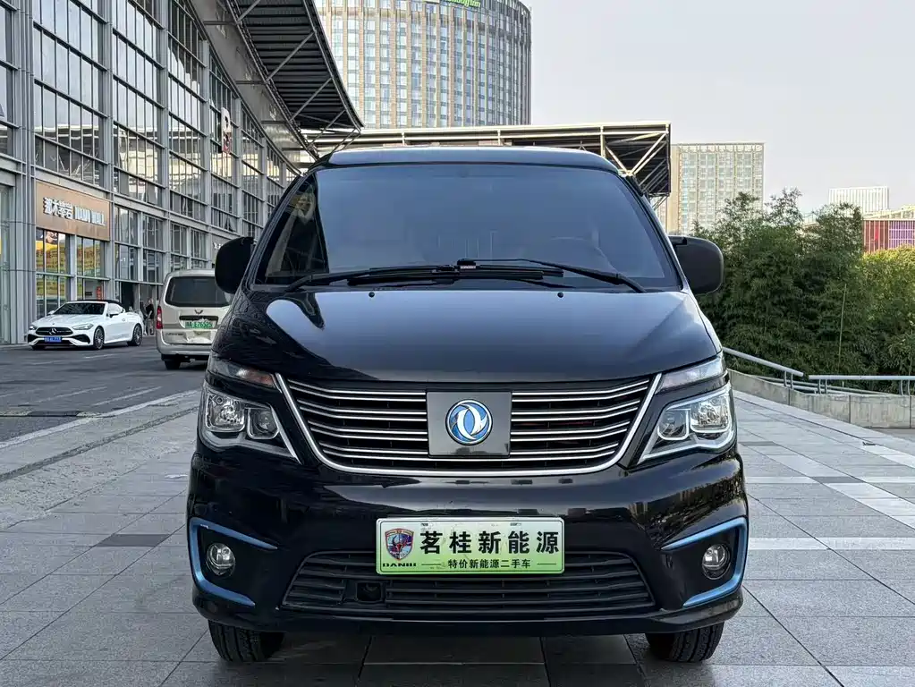 Dongfeng Lingzhi New Energy 2021