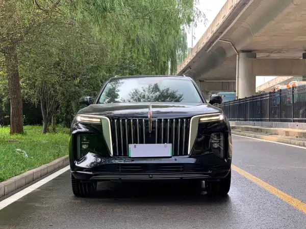 Hongqi E-HS9 2023