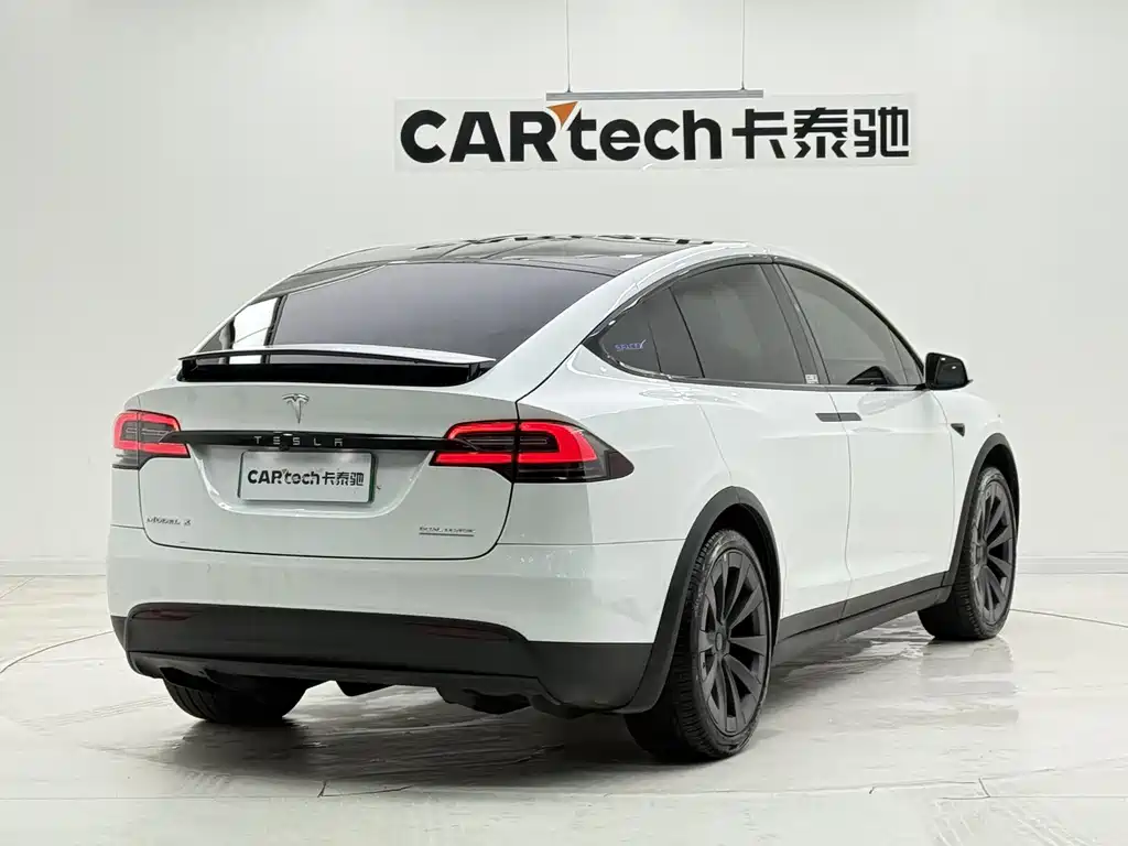 Tesla Model X 2019 — фото 6