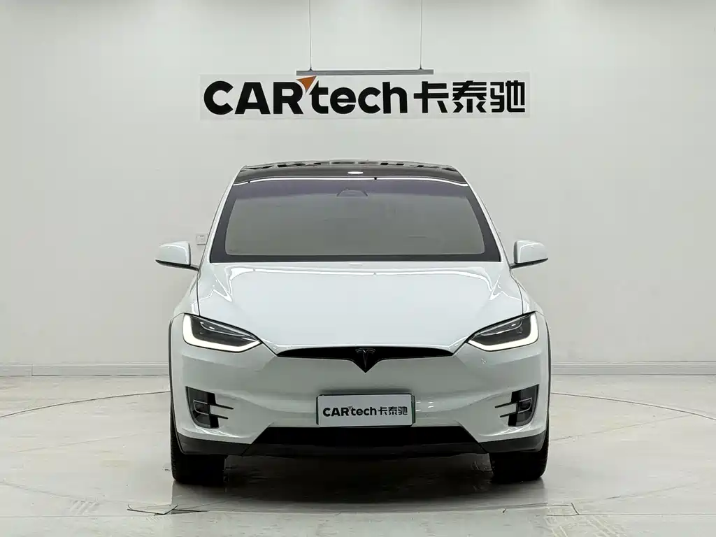 Tesla Model X 2019 — фото 2