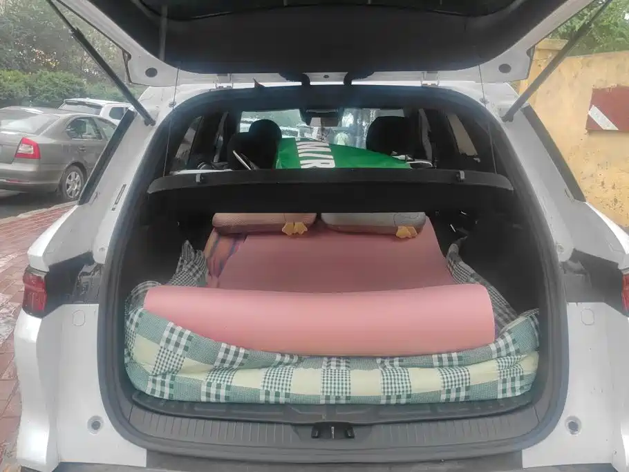 BYD Song Pro New Energy 2025 — фото 4