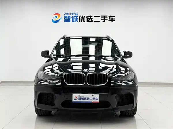 BMW X5 M 2010