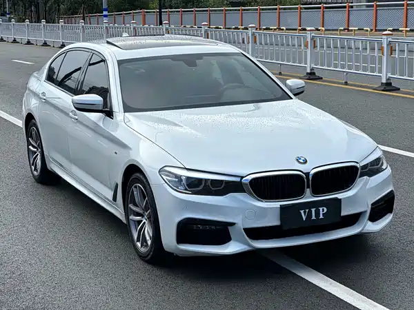 BMW 5 Series 2019