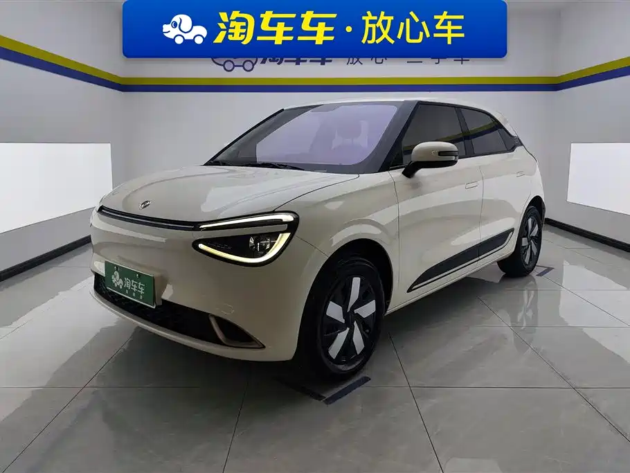 Dongfeng Nano 01 2024