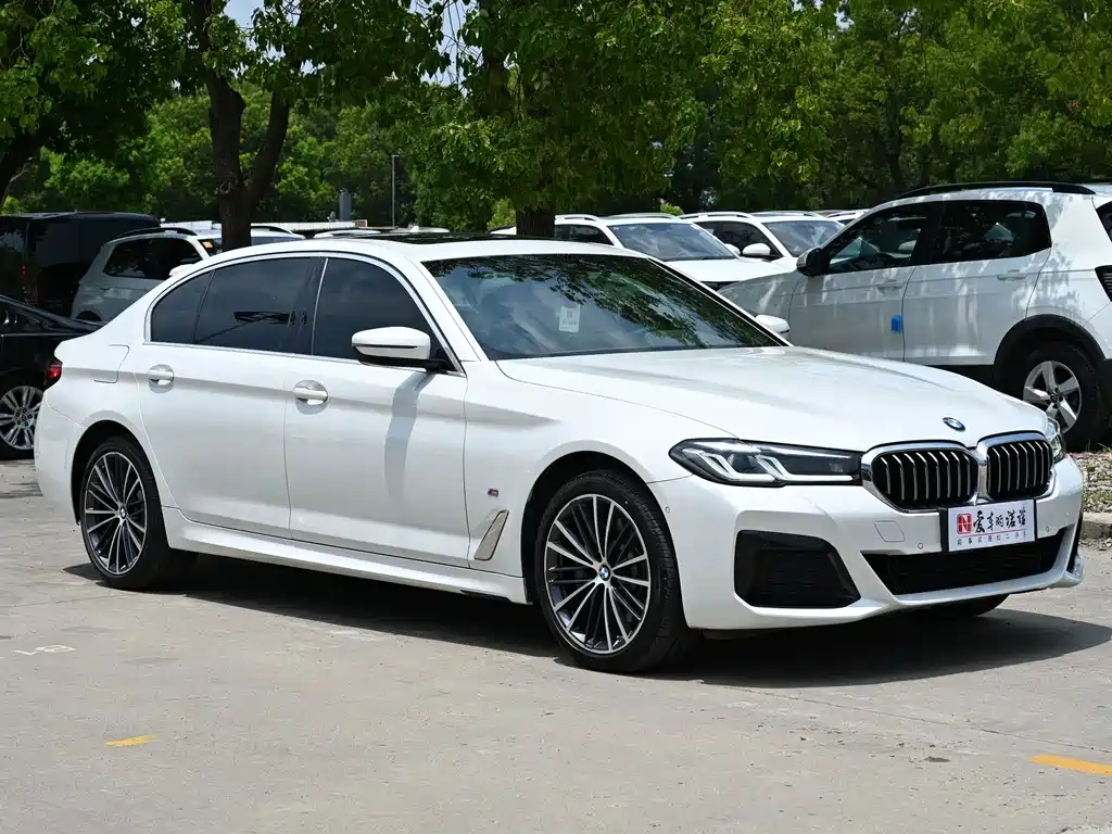 BMW 5 Series 2021