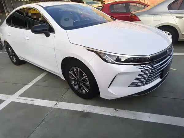 BYD Destroyer 05 2024